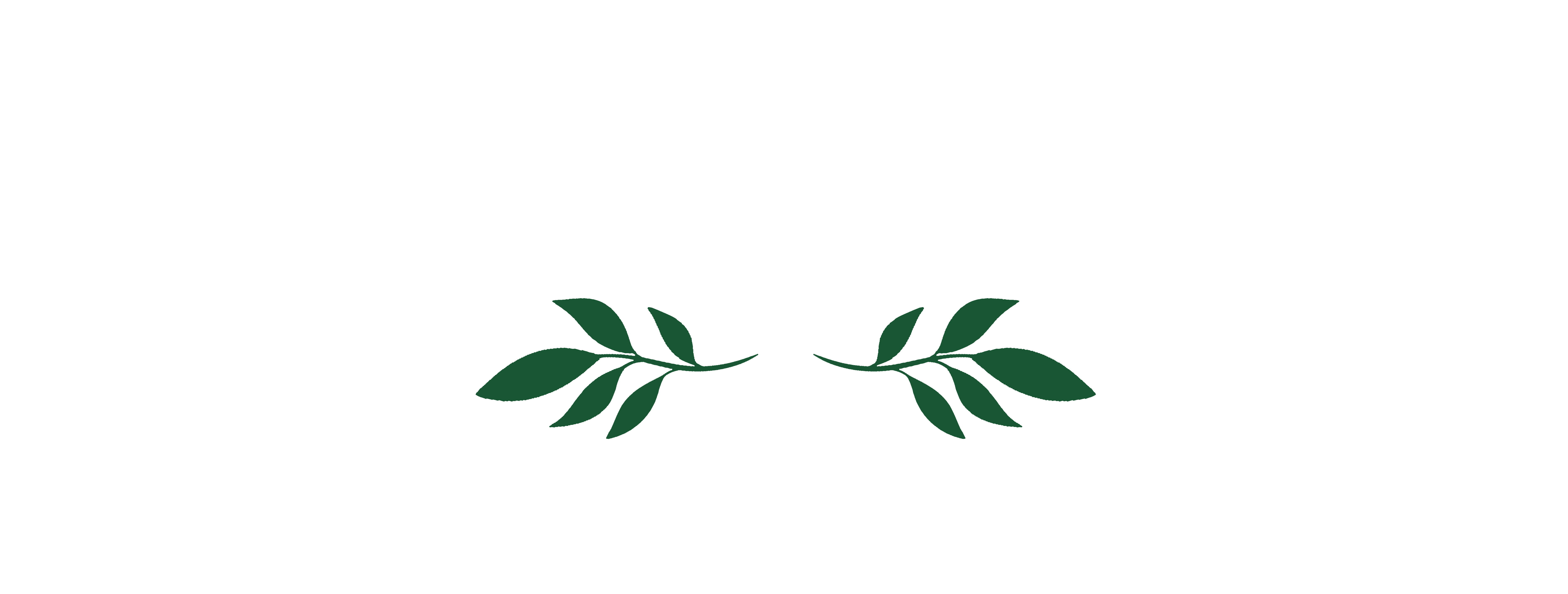 Evers Planten